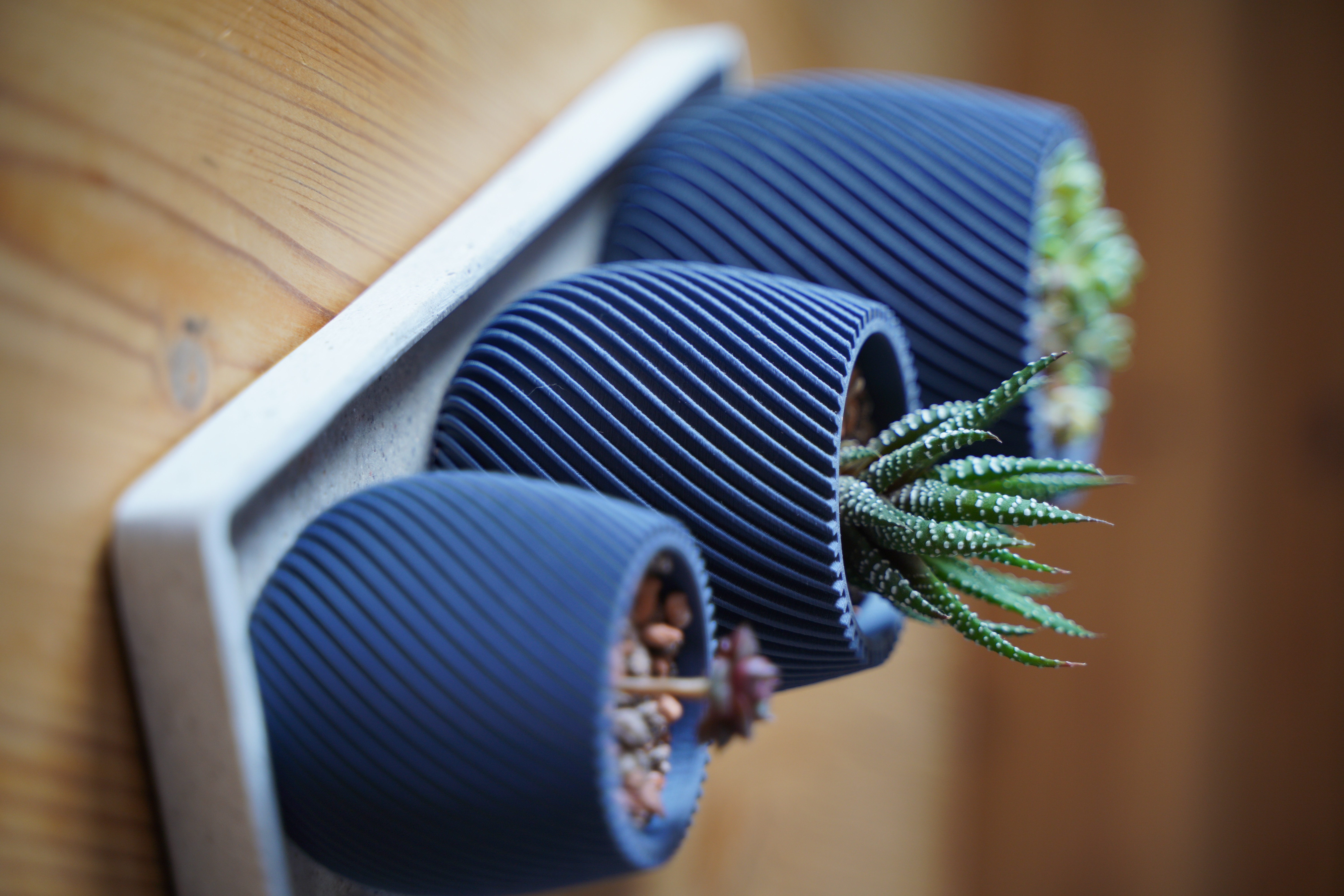 Modern spiral planter